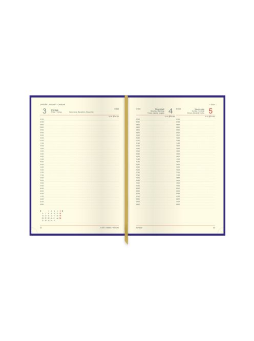 Ace A5 napi világoskék határidőnapló - 2026