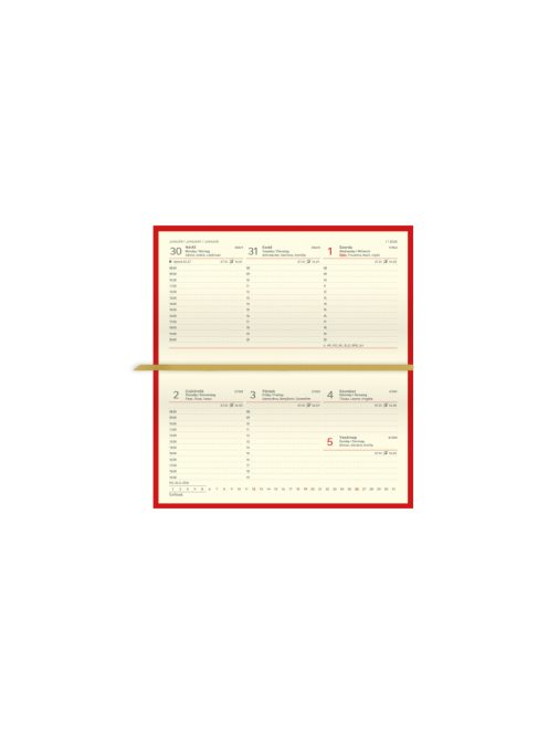 Ace fekvő zsebnaptár világoskék - 2026