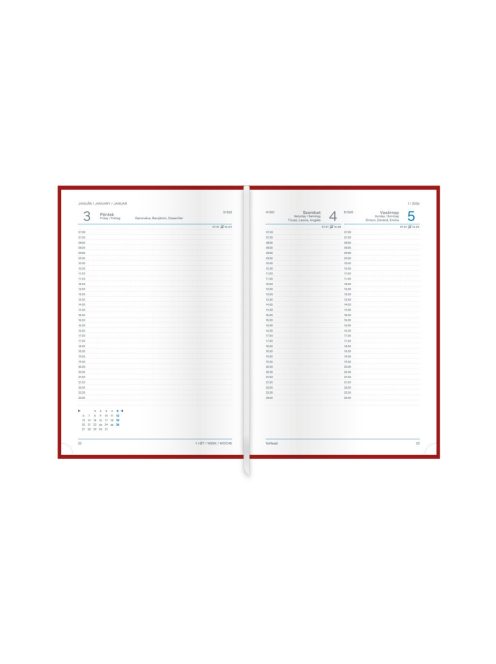 Joy A5 napi határidőnapló fátyolvirág - 2026